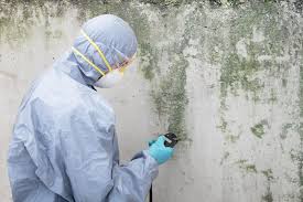 Mold Removal for HVAC Installations in Penn Estates, PA